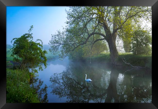 Grantchester Meadows, dawn, 10th May 2017 Framed Print by Andrew Sharpe