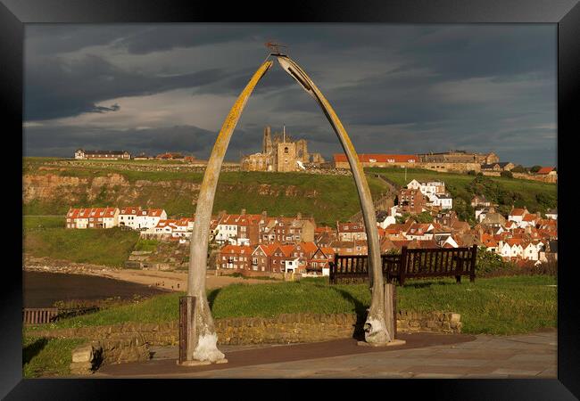 The whalebone arch, Whitby Framed Print by Andrew Sharpe