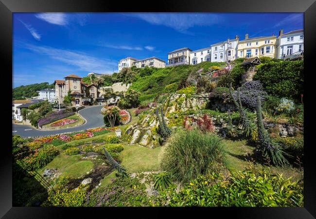 Ventnor Cascade Gardens, Isle of Wight Framed Print by Andrew Sharpe