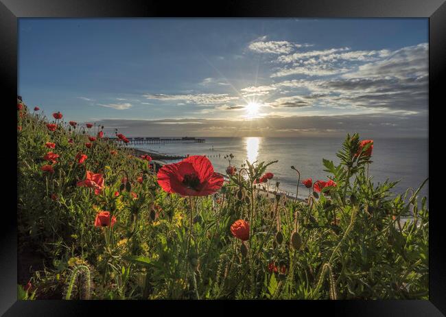 Sunrise over Southwold, 4th June 2017 Framed Print by Andrew Sharpe