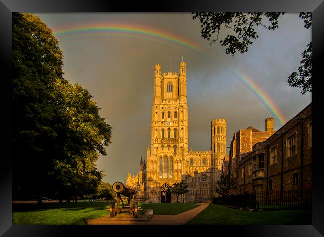 Ely Cathedral, Cambridgeshire Framed Print by Andrew Sharpe