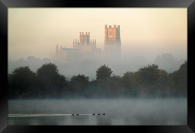 Ely Cathedral, from Roswell Lakes Framed Print by Andrew Sharpe
