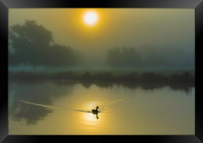 Misty fenland morning on the River Ouse, Ely, Cambridgeshire Framed Print by Andrew Sharpe