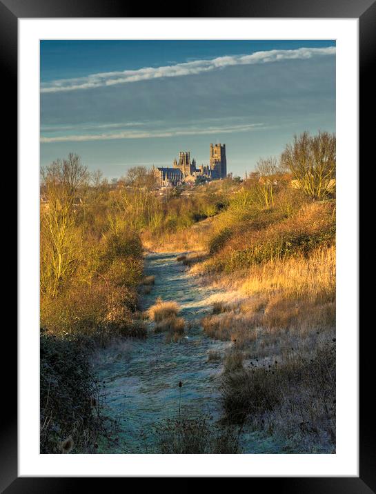 Ely Cathedral from Roswell Lakes, Cambridgeshrie Framed Mounted Print by Andrew Sharpe