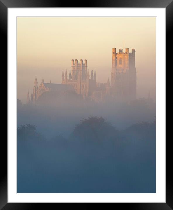 Ely Cathedral, from Roswell Lakes Framed Mounted Print by Andrew Sharpe