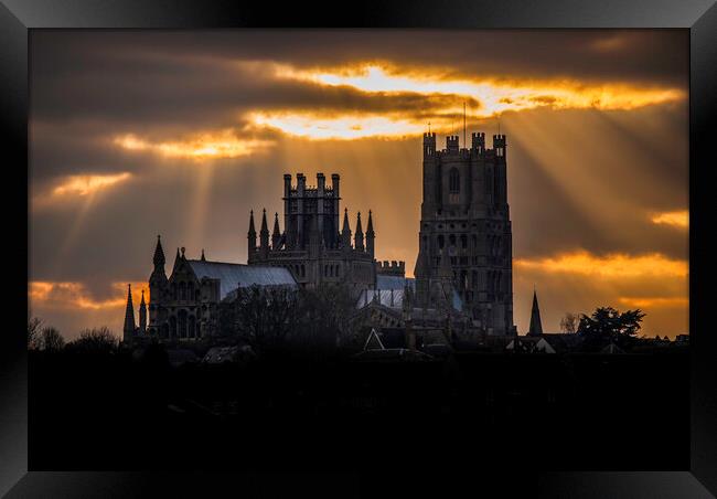 Ely Cathedral, from Roswell Pits, Cambridgeshire Framed Print by Andrew Sharpe