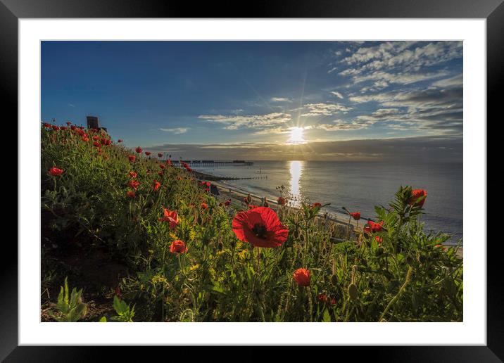 Sunrise over Southwold, 4th June 2017 Framed Mounted Print by Andrew Sharpe
