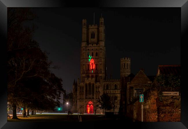 Giant Poppy projected onto Ely Cathedral for Remembrance Sunday, 8th November 2020 Framed Print by Andrew Sharpe