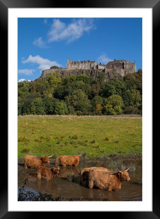 Coo's Under the Castle Framed Mounted Print by Eric Said