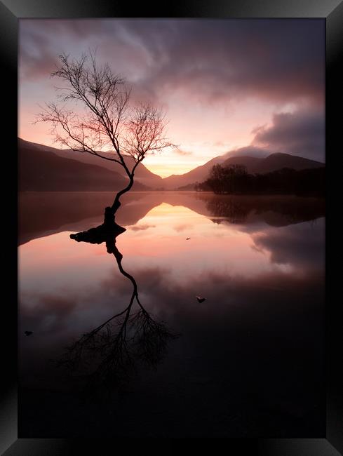 Llyn Padarn sunrise Framed Print by Andy Davis
