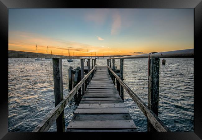 Walk the plank Framed Print by Lee Saunders