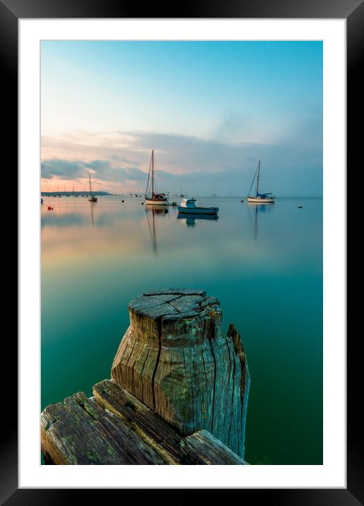 Stand tall Framed Mounted Print by Lee Saunders