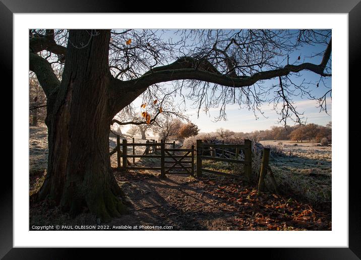 Pathway Framed Mounted Print by PAUL OLBISON