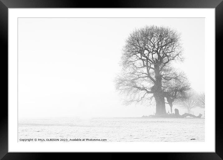 Tree Framed Mounted Print by PAUL OLBISON