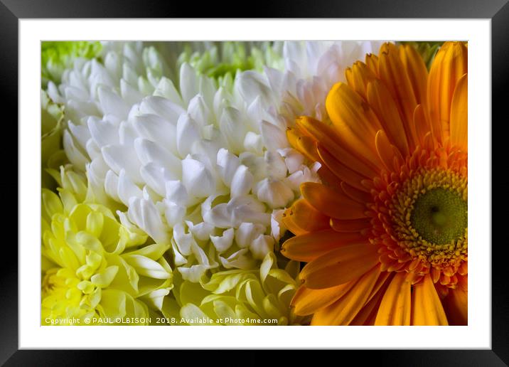 Flowers  Framed Mounted Print by PAUL OLBISON