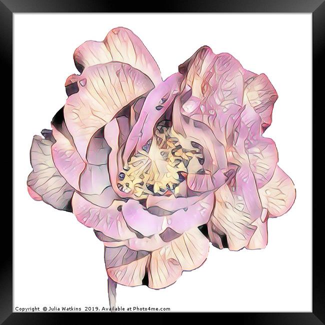 Flower in shades of Pastel Framed Print by Julia Watkins