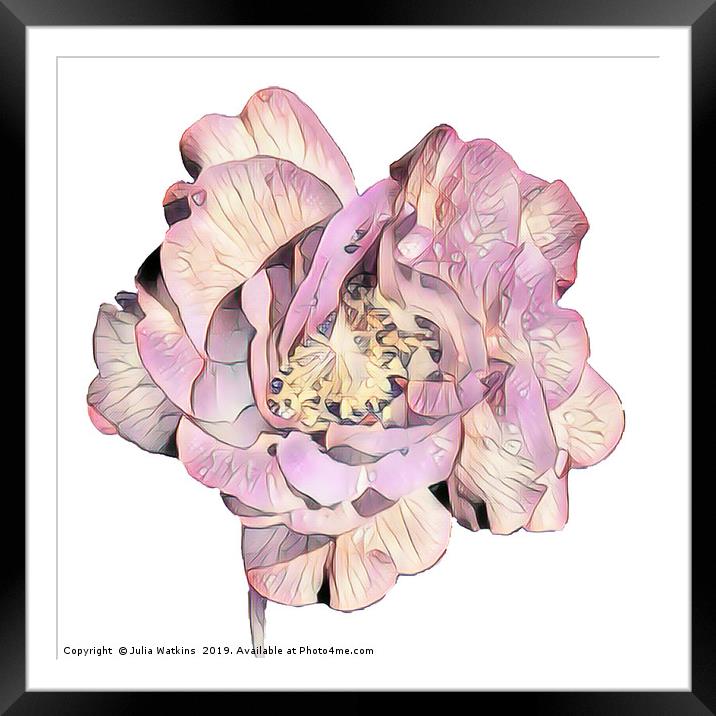 Flower in shades of Pastel Framed Mounted Print by Julia Watkins