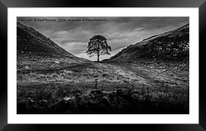 The Iconic Solitude of Sycamore Gap Framed Mounted Print by Geoff Beattie