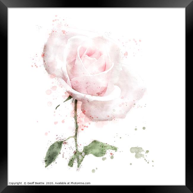 Pink rose in digital watercolour Framed Print by Geoff Beattie