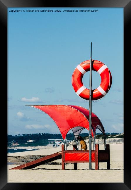 Lifeguard dog by a beach with baywatch float Framed Print by Alexandre Rotenberg