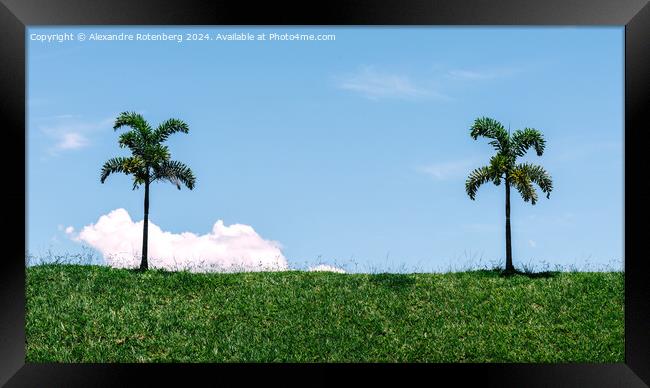 Two Solitary Palm Trees Standing on a Lush Green Hillside Against a Clear Blue Sky Framed Print by Alexandre Rotenberg