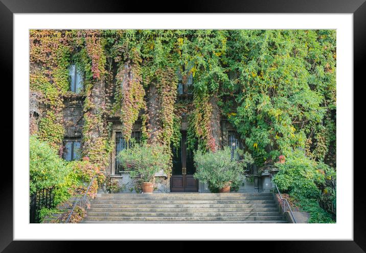Building entrance covered in overgrown ivy Framed Mounted Print by Alexandre Rotenberg