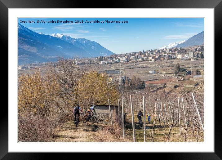 Mountain bikers in Valtellina, Italy  Framed Mounted Print by Alexandre Rotenberg
