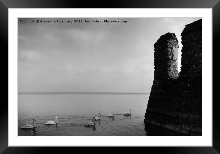 Row of ducks next to fortification Framed Mounted Print by Alexandre Rotenberg