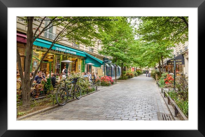 Paris in the Spring Framed Mounted Print by Alexandre Rotenberg