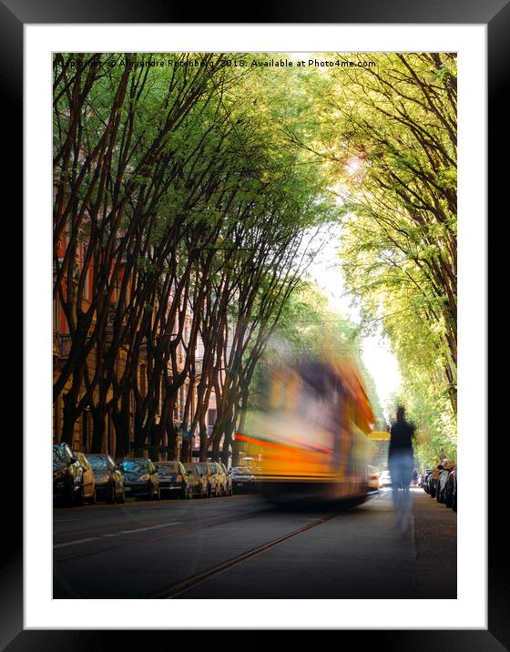Moving tram on tree-lined path  Framed Mounted Print by Alexandre Rotenberg