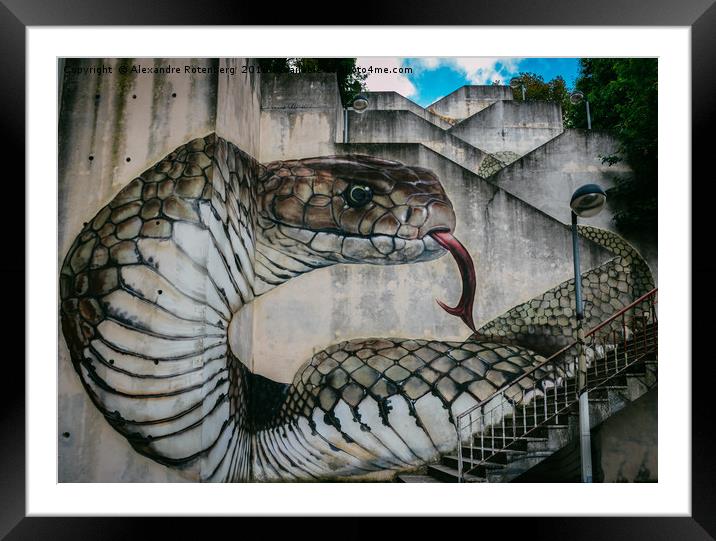 Snake or cobra street art Framed Mounted Print by Alexandre Rotenberg