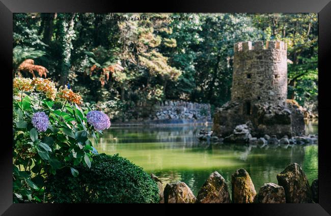 Valley of the Lakes, Pena in Sintra, Portugal Framed Print by Alexandre Rotenberg