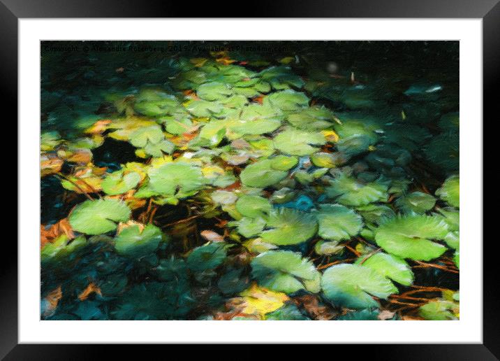 Water Lilies Monet Style Framed Mounted Print by Alexandre Rotenberg