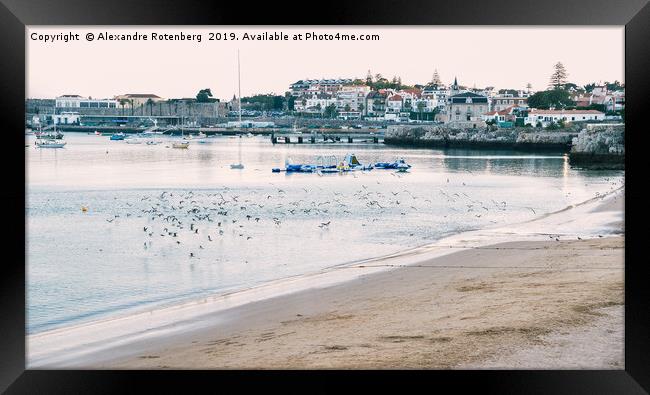 Beach in Cascais, Portugal Framed Print by Alexandre Rotenberg