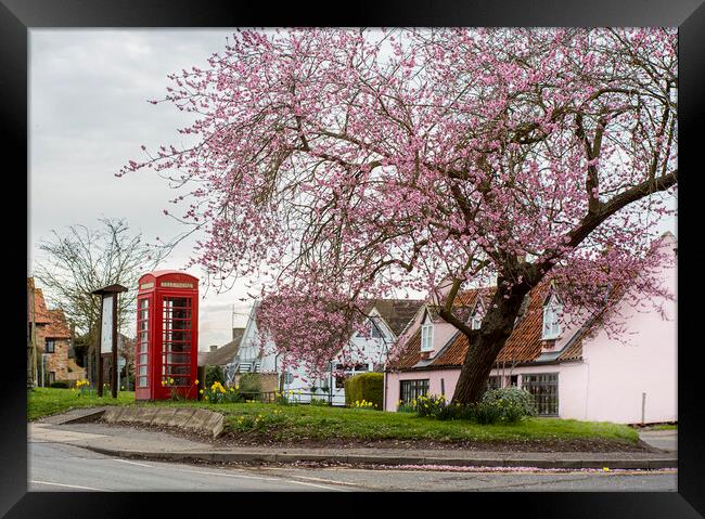 Phone box and the Cherry Tree Framed Print by Kelly Bailey