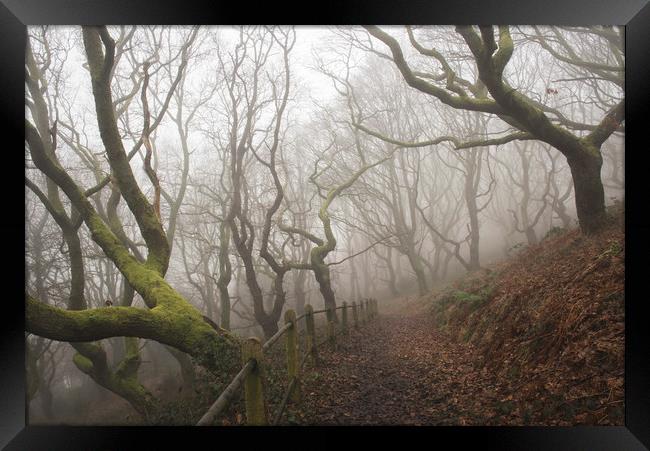 Into the misty oak woodlands - Rhymney Valley Framed Print by Ramas King