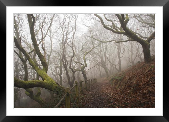 Into the misty oak woodlands - Rhymney Valley Framed Mounted Print by Ramas King