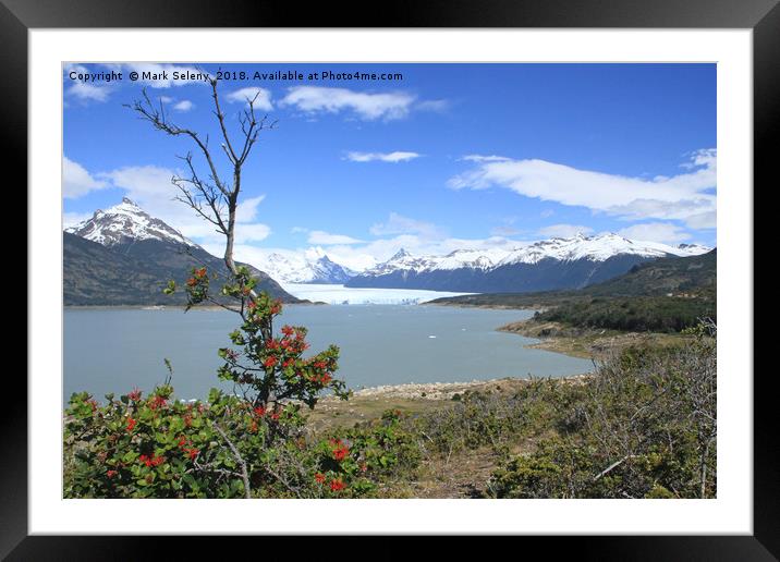 Perito Moreno Glacier and Lake Argentina.  Framed Mounted Print by Mark Seleny