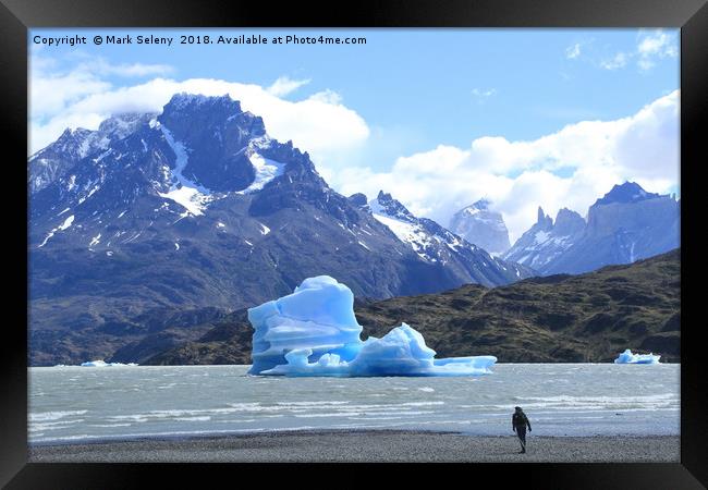 Icebergs at the Lake Grey in Torres del Paine Moun Framed Print by Mark Seleny