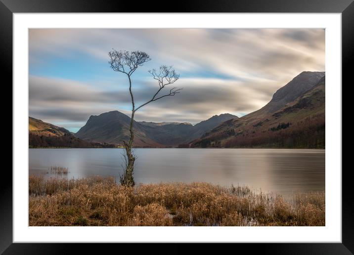 The Lone Tree at Buttermere Framed Mounted Print by Tony Keogh