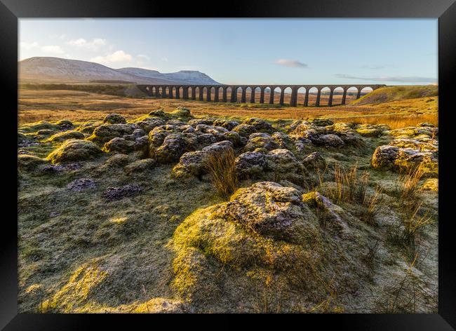 Ribblehead Viaduct  Framed Print by Tony Keogh