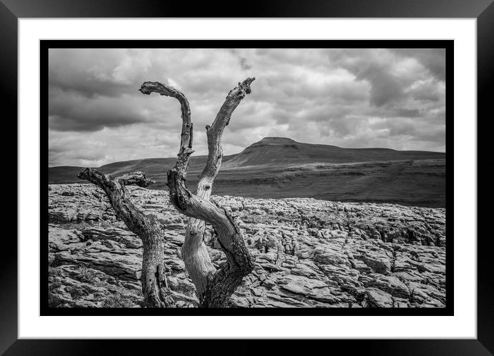 Twistleton Scar and Ingleborough Framed Mounted Print by Tony Keogh