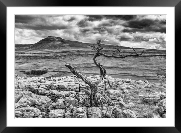 Twistle Scar and Ingleborough Framed Mounted Print by Tony Keogh