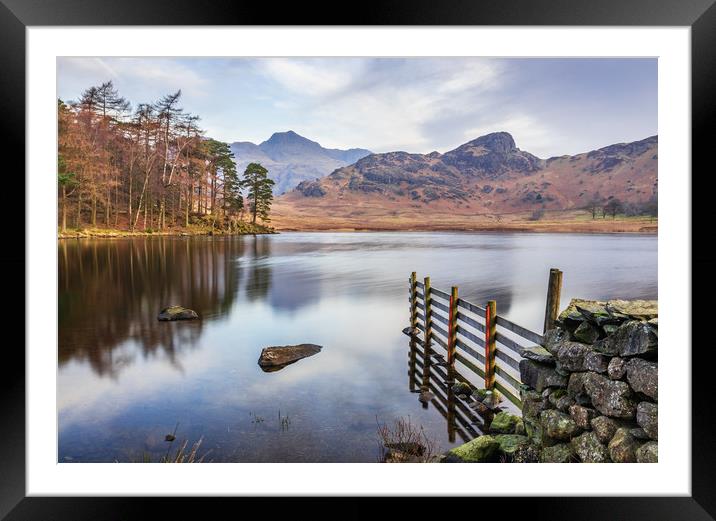 Blea Tarn and the Langdales Framed Mounted Print by Tony Keogh