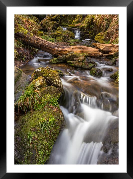 Small Stream Waterfall Framed Mounted Print by Tony Keogh