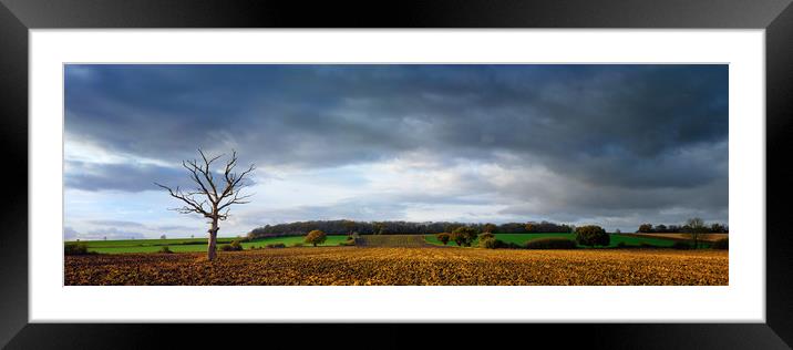 Tree in Ploughed Field Framed Mounted Print by Donnie Canning
