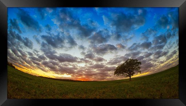 Tree at a fisheye sunset. Framed Print by Donnie Canning