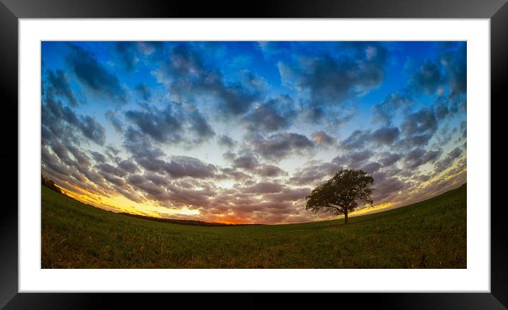 Tree at a fisheye sunset. Framed Mounted Print by Donnie Canning