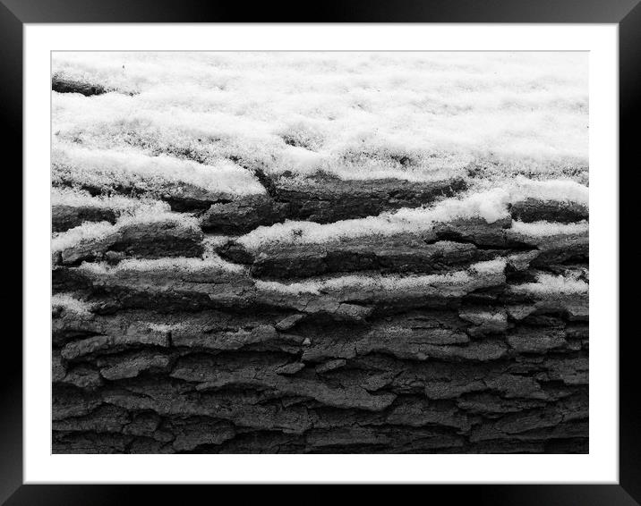 Snow on tree bark Framed Mounted Print by Donnie Canning