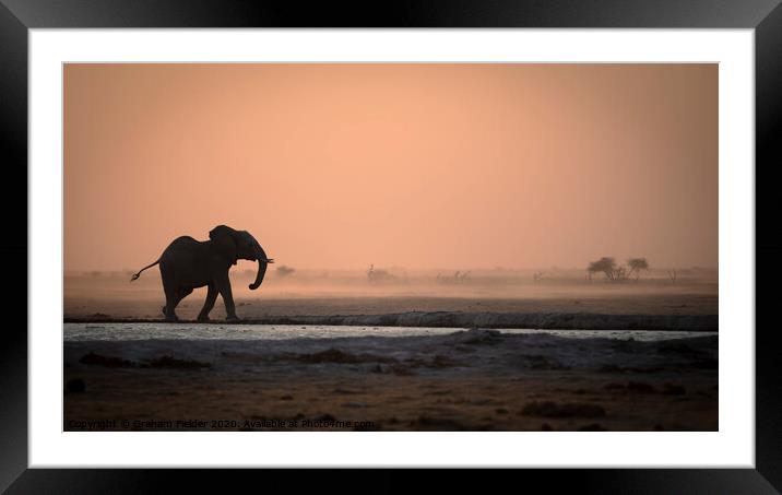 Elephant in the dust Framed Mounted Print by Graham Fielder